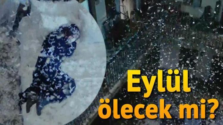 Kırgın Çiçekler yeni fragmanında şok: Eylül ölecek mi