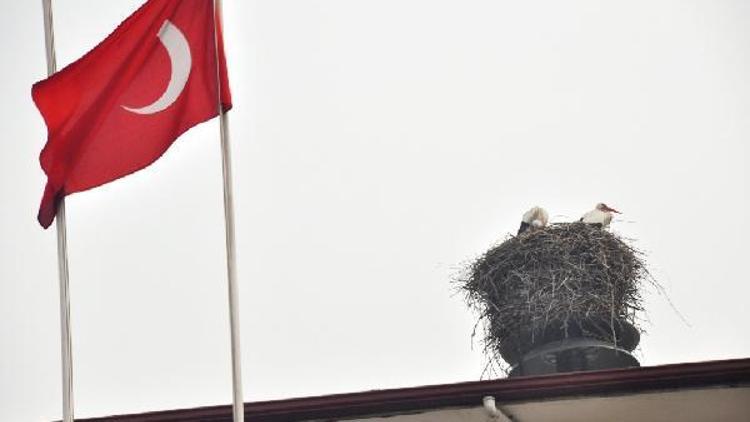 Iğdır’a baharın müjdecisi leylekler geldi