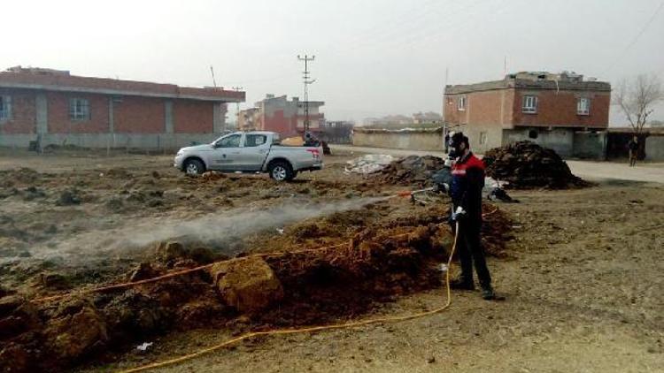 Batmanda sinekle mücadele çalışması başladı