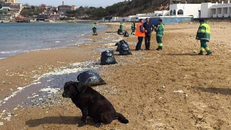 Kilyos Plajına dökülen molozlara Sarıyer Belediyesinden açıklama