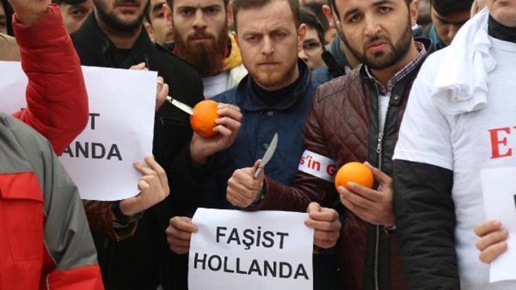 Hollandayı portakal sıkarak protesto ettiler