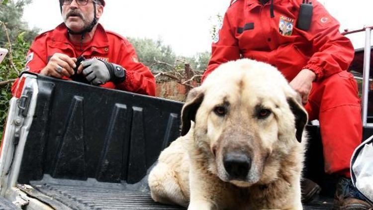 Karabaş, 10 gün sonra bulunup kurtarıldı