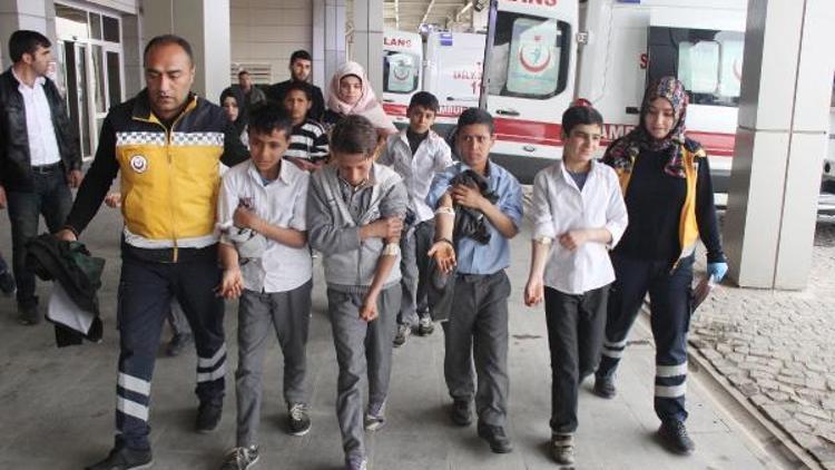 Şanlıurfa’da, 26 öğrenci pastadan zehirlendi