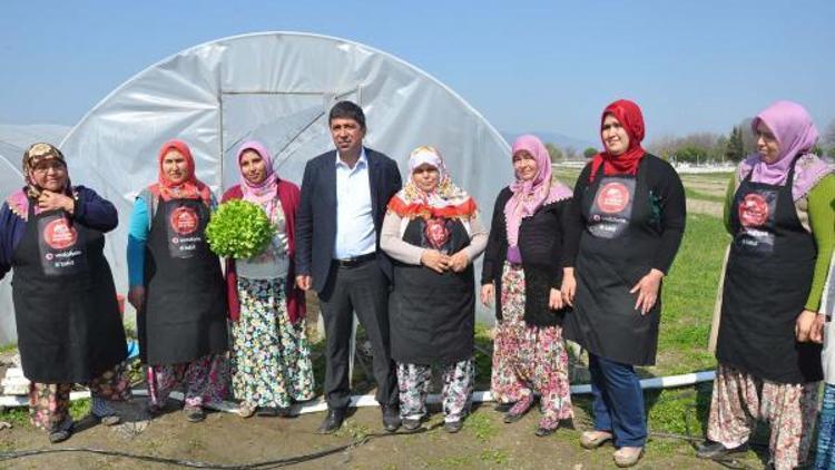 Kadınlar Akıllı Köyde ilk hasadı yaptı