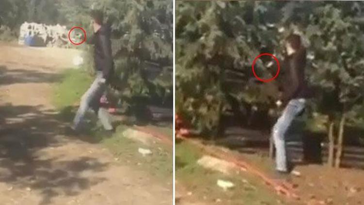 Sosyal Medyada Paylaşılan Videoya Tepki Yağdı Son Dakika Haber