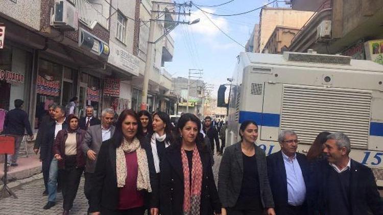 HDP, Mardin Nusaybinden nevruz startını verdi