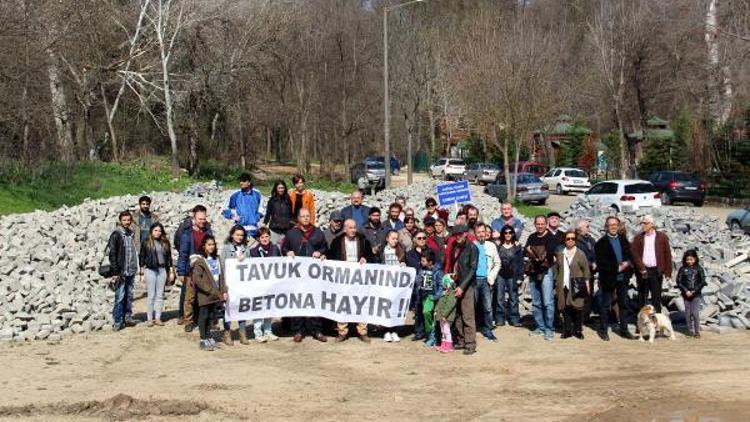 Çevrecilerden ormanda betona hayır eylemi