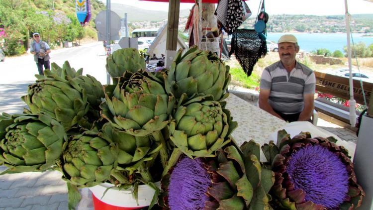 Alaçatı Ot Festivali şifa dağıtacak