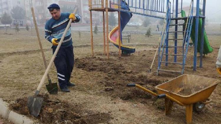 Edirne Belediyesi, parklar yenileniyor