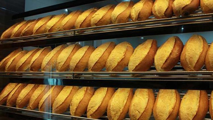 Faruk Çelik: Ekmek katkı maddesinde GDO’ya rastlandı
