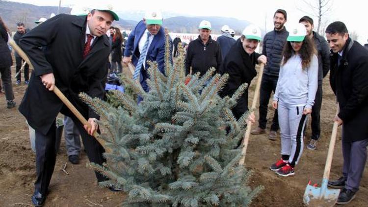 Üniversite öğrencileri fidan dikti