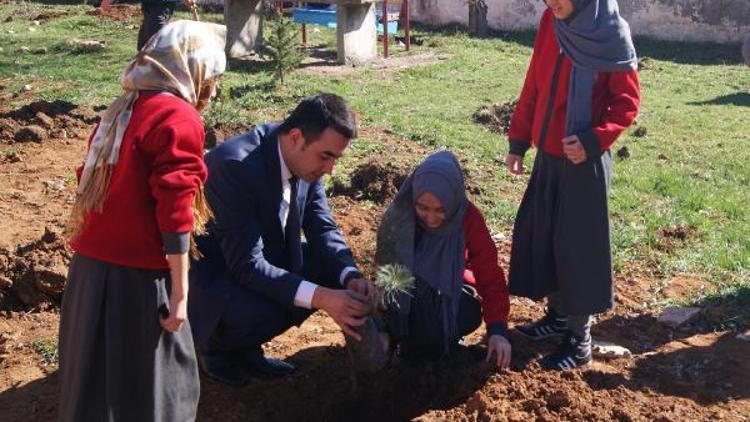 Mengen Anadolu İmam Hatip Lisesi bahçesi ağaçlandırıldı