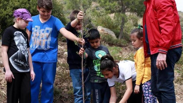 Öğrencilerden yanan alanlara fidan