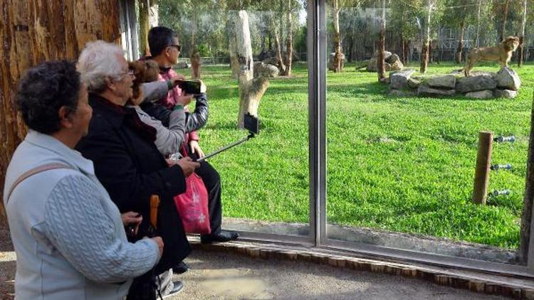 Ücretsiz kent turları yeniden başlıyor