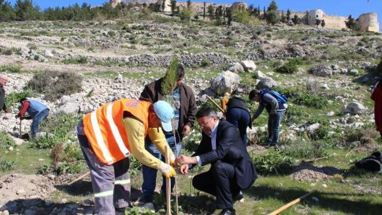 Mali müşavirlerden hatıra ormanı