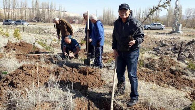 Bünyan Dostları, 250 fidanı toprakla buluşturdu