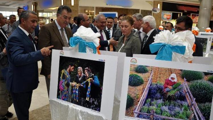 Tarım ve İnsan fotoğrafları Osmaniyede