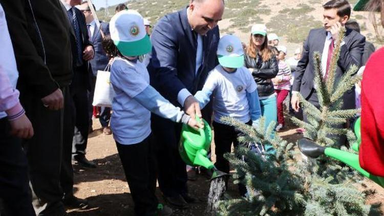 Bereket Ormanına fidan dikimi