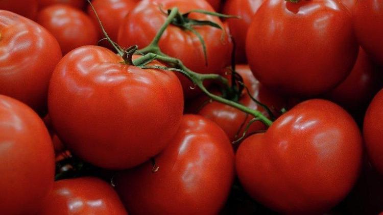 Rusya, pazarda yakaladığı 1 ton Türk domatesini imha etti