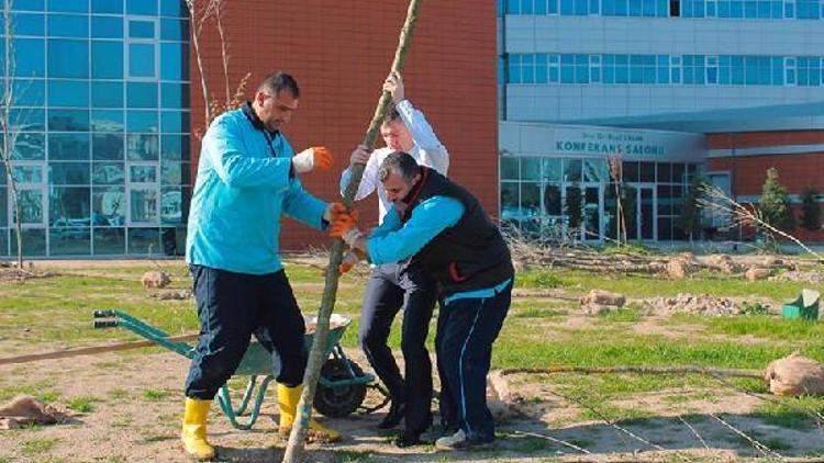 Hastane bahçesine 100 ağaç dikildi