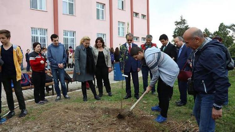 Urlada fidan dikim seferberliği