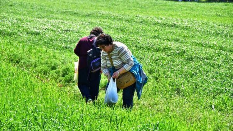 Neşeli Otlar Festivali şehir hayatını unutturdu