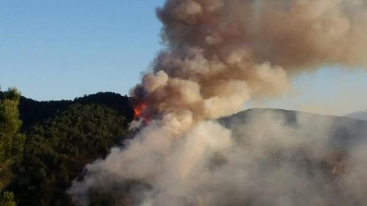 Kastamonudaki orman yangını söndürülmeye çalışılıyor