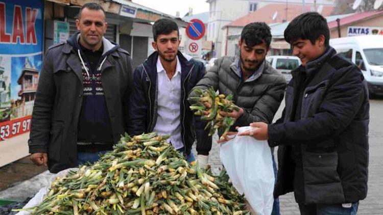 Vartonun Gülbaharı Çiriş çıktı