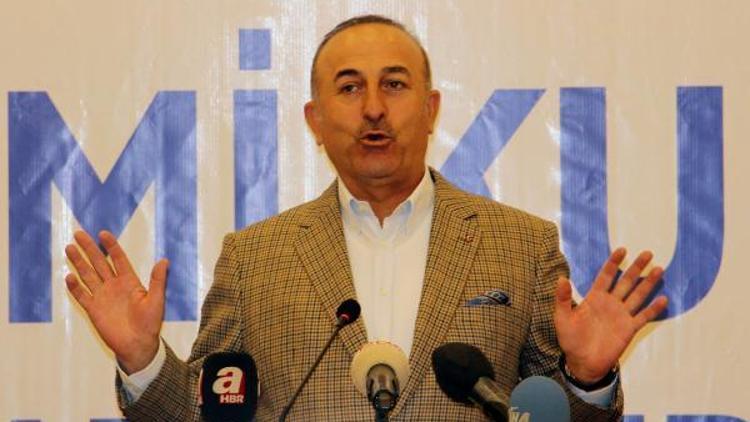 Çavuşoğlu: Avrupalı bakanlara Aptalca hareketleriniz bize oy getirdi dedim