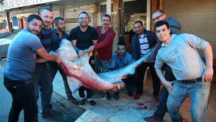 5 metre boyunda köpek balığı yakalandı