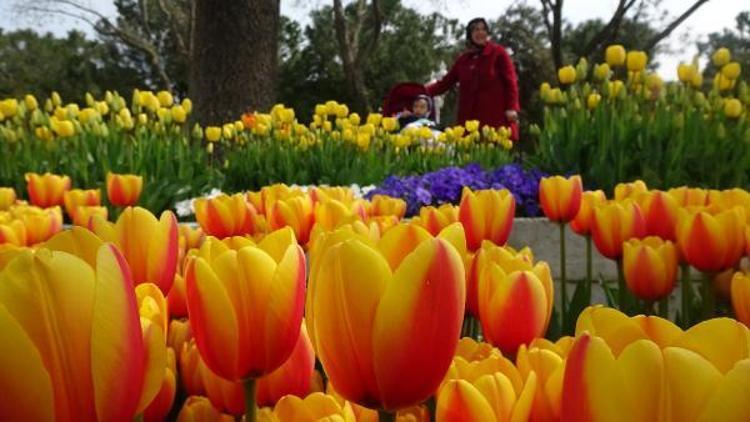 Çiçek açan park ve tesisler Mutluluk fotoğraflarının adresi oldu