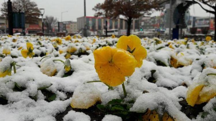 Erzincanlılara Nisanda kar sürprizi