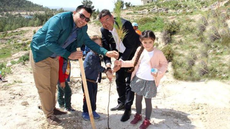 Silifke’de eczacılar fidan dikti