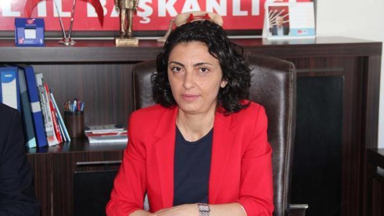 CHPli Kayışoğlu: Demokrasiyi güçlendirerek daha güçlü bir ülke olabiliriz