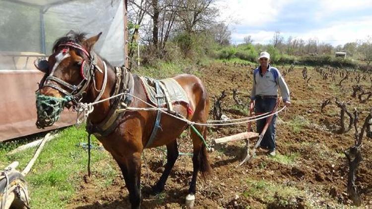 Atı ve sabanıyla teknolojiye meydan okuyor