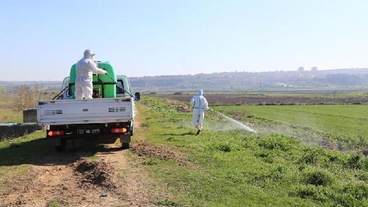 Edirne Belediyesi, su kanallarında ilaçlama çalışması yaptı
