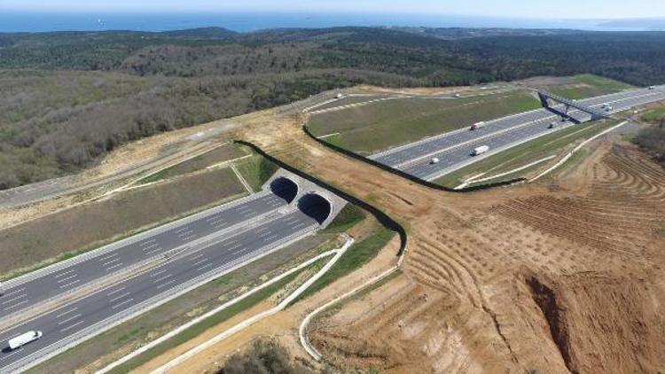 Yavuz Sultan Selim Köprüsü çevre yolunda dikilen ağaçların bir bölümü kurudu