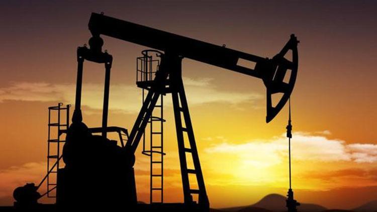 Arar Petrol üç petrol işletme ruhsatı için başvurdu