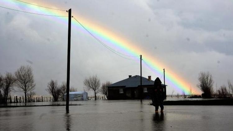 Yüksekovada dere taşınca köy sular altında kaldı