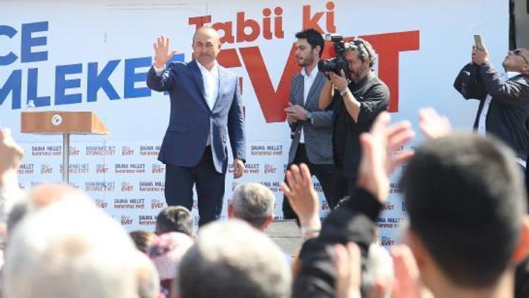 Çavuşoğlu: Alman Alternatif Parti, İstanbulda miting yapacak