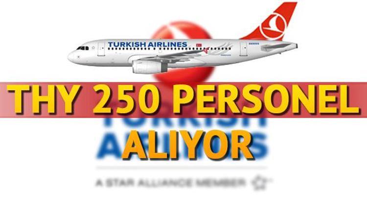 THY 250 personel alımı başvuru şartları neler THY personel alımı başvurusu nasıl yapılır