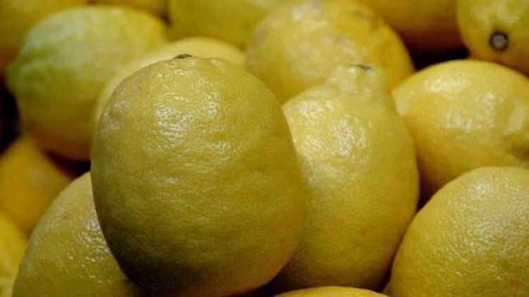 Limon üreticilerine müjde