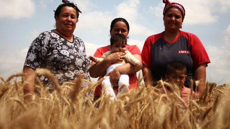 Tarım, ocakta 4,9 milyon kişiye istihdam sağladı