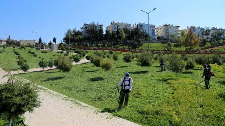 Mersin Toroslar’da bahar bakımı