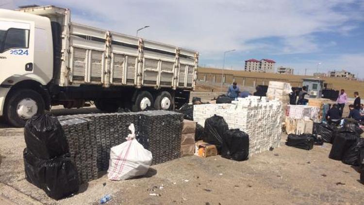 Arpa yüklü kamyondan 166 bin paket kaçak sigara çıktı