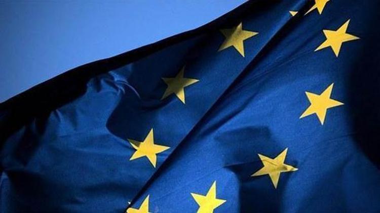 Avrupa referanduma şeffaf soruşturma istedi