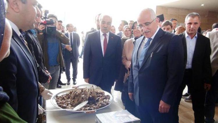 Şanlıurfa’da yöresel yemekler sergilendi