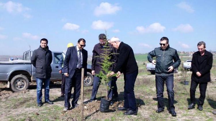 Çanda eski maden sahasına 23 bin 320 fidan