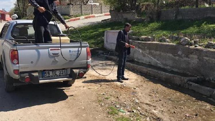 Ahmetbey’de sinek mücadelesi başladı