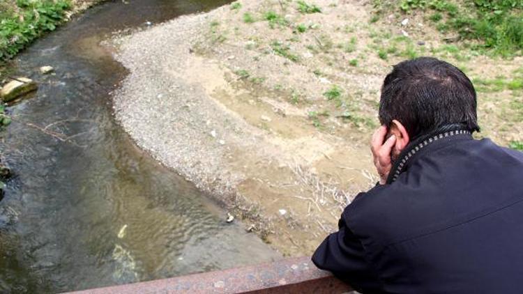 Zonguldakta derede balık ölümleri tedirgin etti